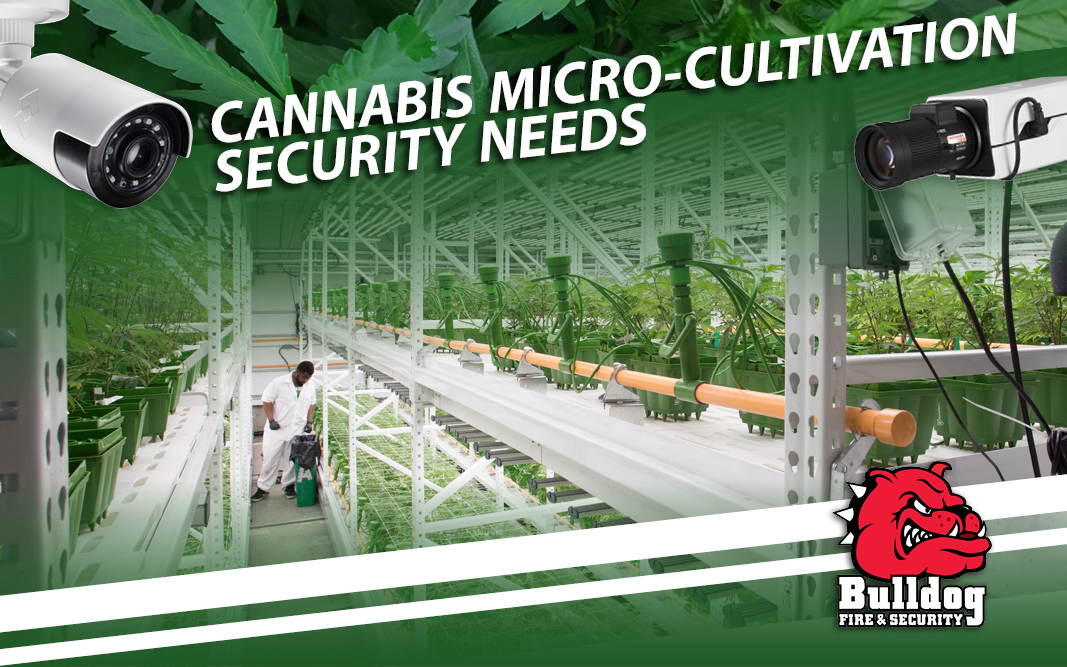 micro cultivation banner image